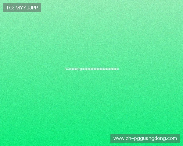 NG电子娱乐官网pg平台最新优惠政策详解，助力玩家实现游戏盈利最大化