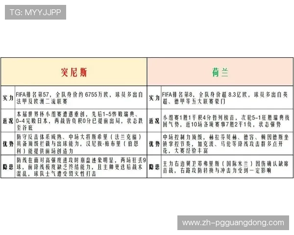 2026年世界杯突尼斯与荷兰比赛射门次数对比及关键表现分析