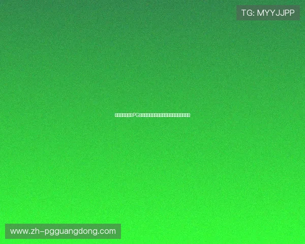 专业玩家必看:PG电子游戏代码修改的完整流程与风险防范策略 专业玩家必看:PG电子游戏代码修改的完整流程与风险防范策略